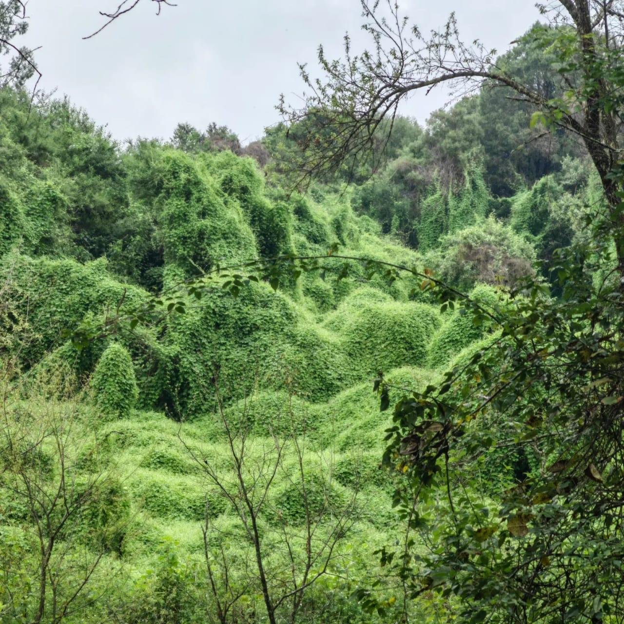 Rancho Las Maravillas, Sultepec
